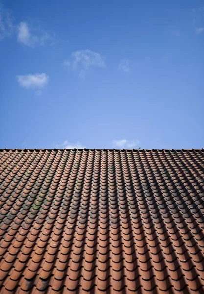 铁皮屋顶 — 图库照片