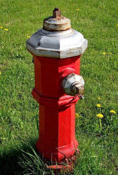 Fire hydrant on grass — Stock Photo, Image