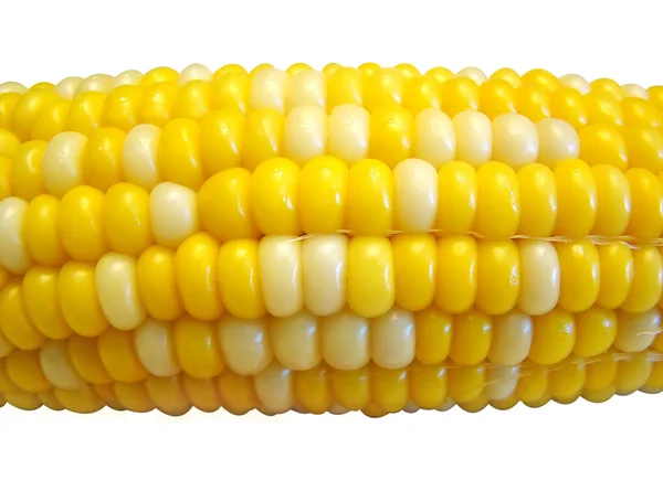 Mais auf dem Kolben isoliert — Stockfoto