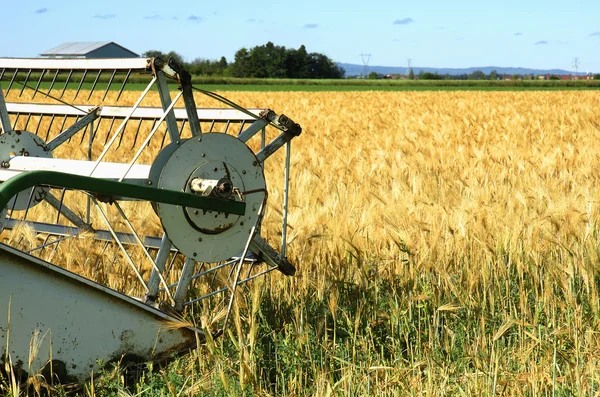 Harvester and barley — Stock Photo, Image
