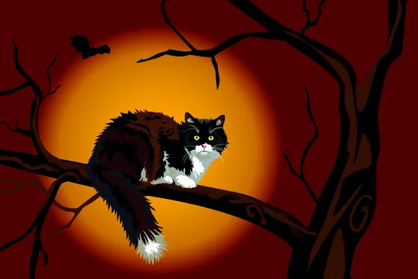 Svart katt på død gren på halloween – stockfoto