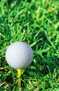 golf topu ve çim dikey