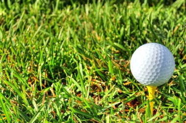 Golf topu sağa ve çim