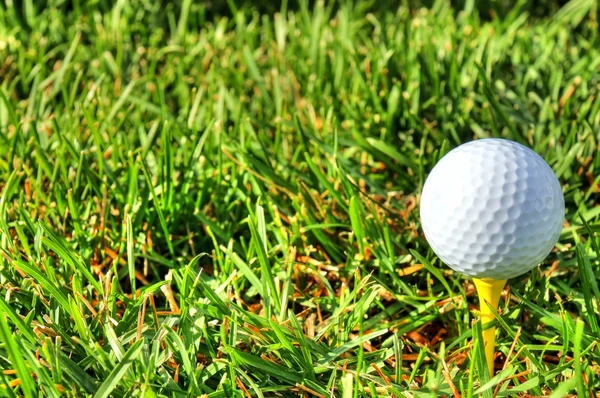 右と草にゴルフ ・ ボール — ストック写真