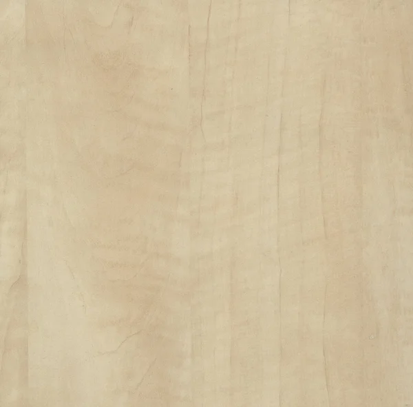 Struttura in legno chiaro — Foto Stock