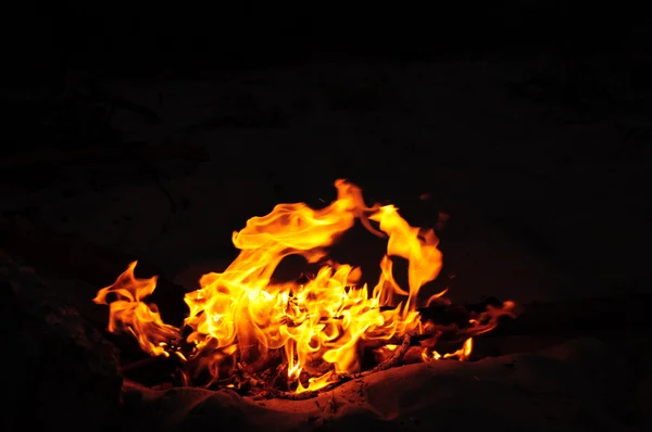 stock image Burning fire