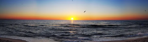 Soluppgång på havet panorama — Stockfoto