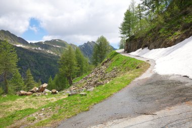 İsviçre Alpleri'nde yol