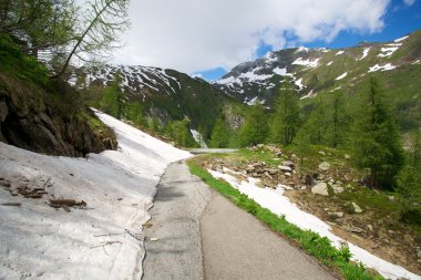 İsviçre Alpleri'nde yol