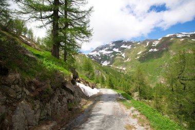 İsviçre Alpleri'nde yol