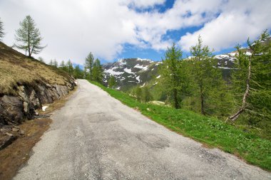 İsviçre Alpleri'nde yol