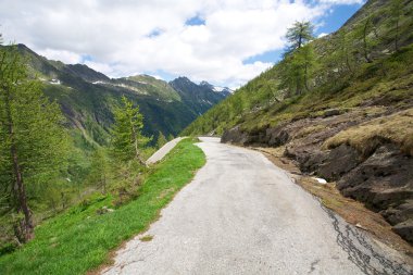 İsviçre Alpleri'nde yol