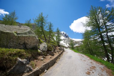 İsviçre Alpleri'nde yol