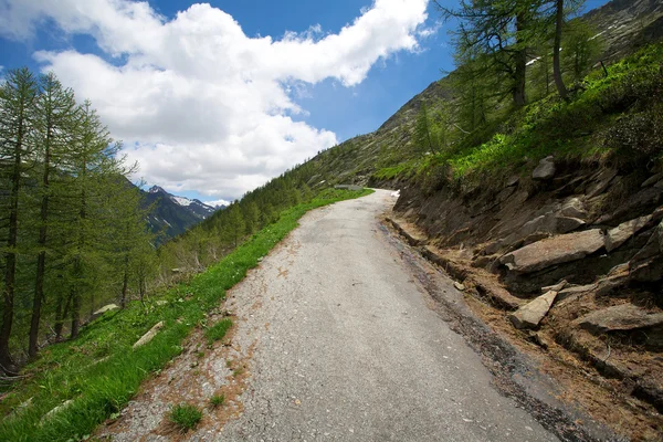 スイス アルプスの道 — ストック写真