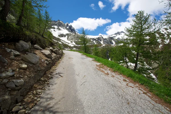 Carretera en Suiza Alpes — Foto de Stock