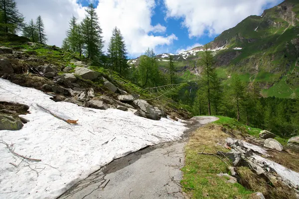 İsviçre Alpleri'nde yol — Stok fotoğraf