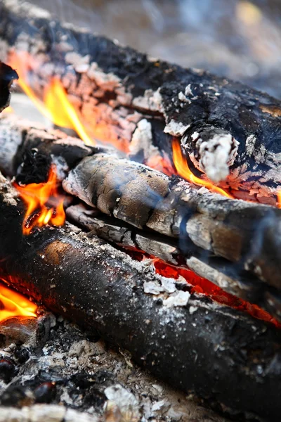 Camping fire — Stock Photo, Image