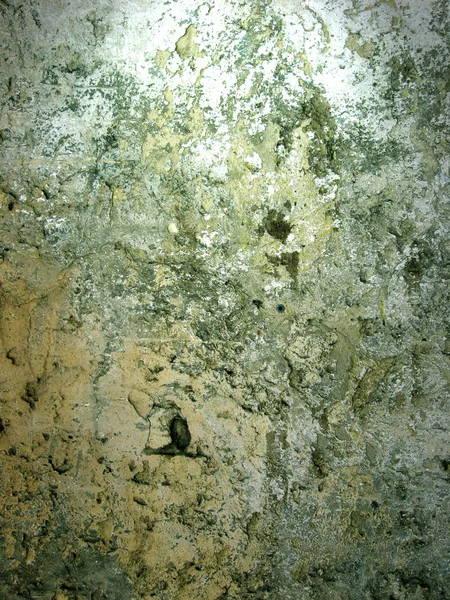 裂隙石膏 — 图库照片