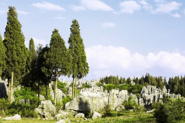 Mystery stone forest clipart