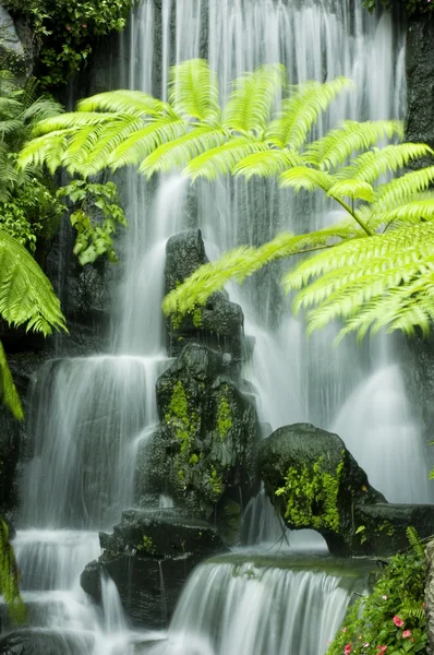 Japanese garden waterfalls — Stock Photo, Image