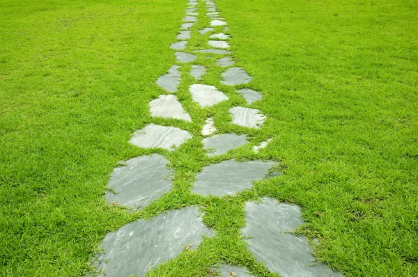 Caminho de pedra — Fotografia de Stock