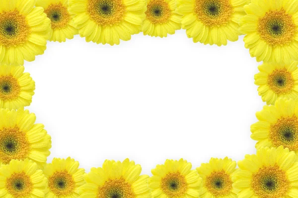Flowers frame (gerbers) — Stock Photo, Image