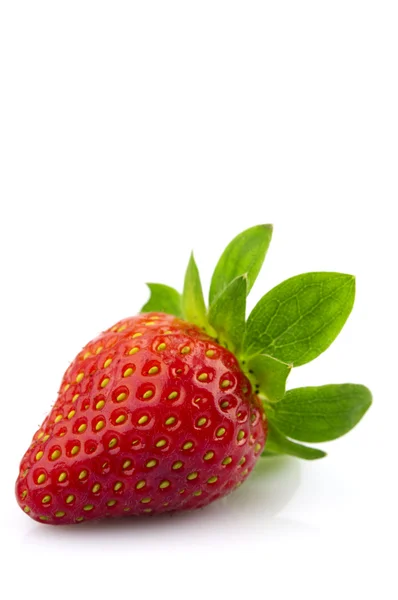Frische Erdbeere — Stockfoto