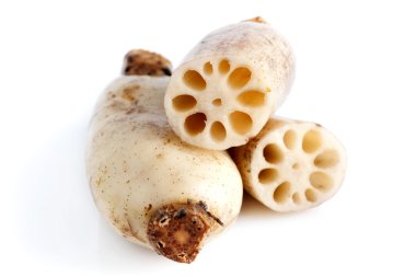 Lotus kökleri