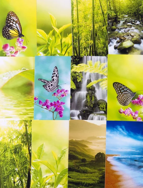 Naturen vykort — Stockfoto