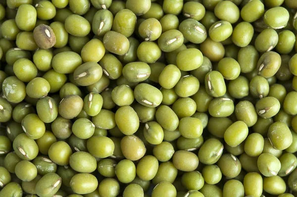 Mung beans — Stock Photo, Image