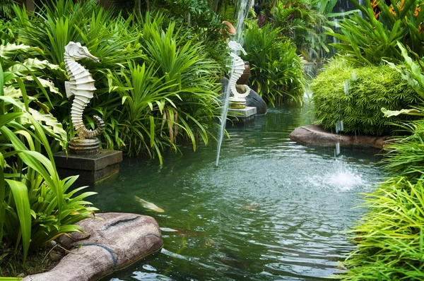 Giardino tropicale zen — Foto Stock