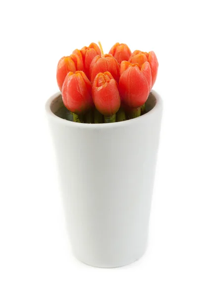 Tulipe à la manière de bougies — Photo