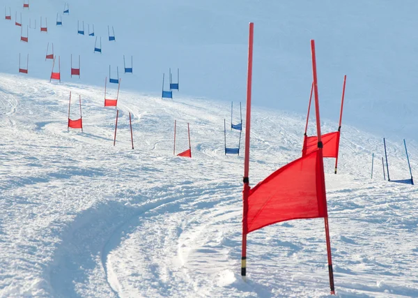 Portas de esqui com slalom paralelo — Fotografia de Stock