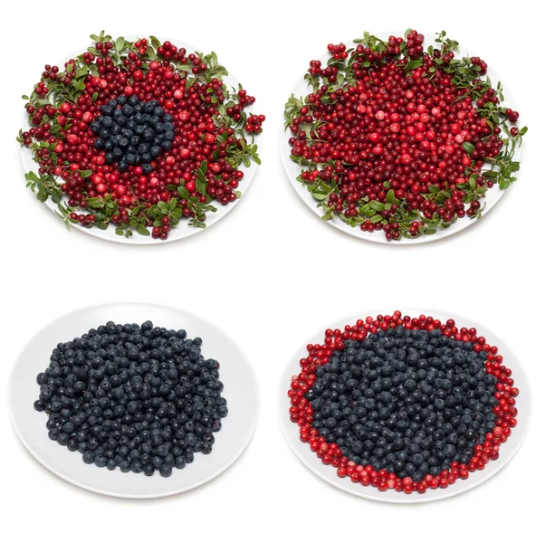 Cowberry and whortleberry — Stock Photo, Image