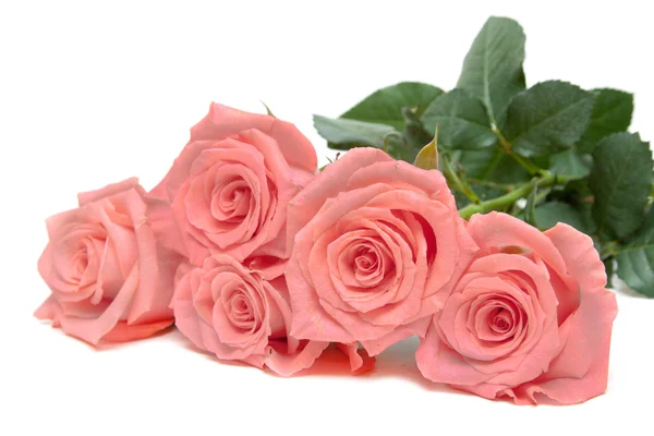 Tre rose bugie — Foto Stock