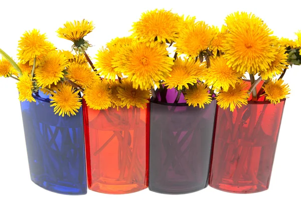 Yellow dandelions — Stock Photo, Image