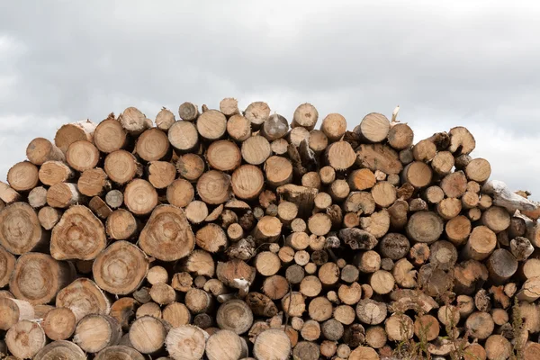 stock image Firewood put in heap