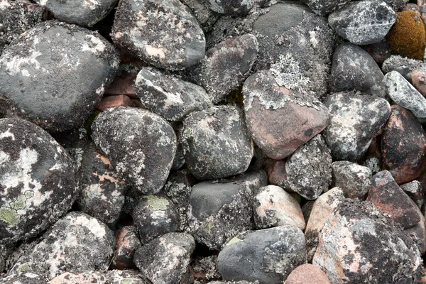 Tengeri kő — Stock Fotó
