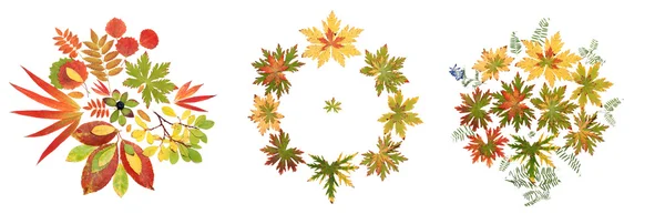 Koláž podzimní list do vzoru — Stock fotografie