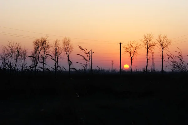 stock image Setting sun