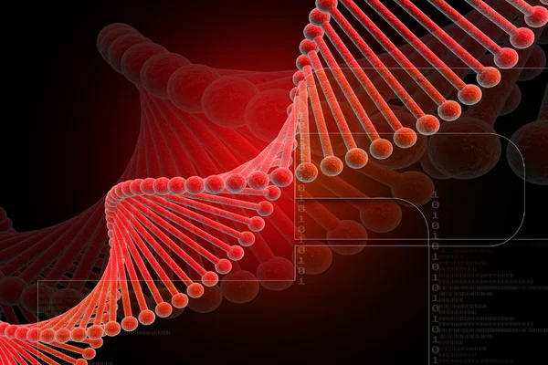 DNA rosso — Foto Stock