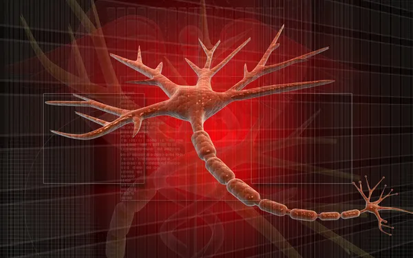 Neuron auf digitalem Hintergrund — Stockfoto