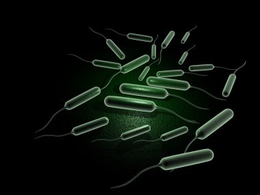 Coli bacteria clipart