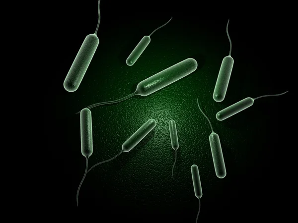 Bacterii Coli — Fotografie, imagine de stoc