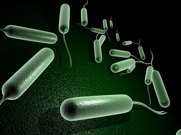 Coli bacteriën — Stockfoto