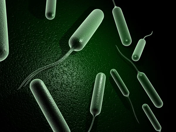 Coli-bakterier — Stockfoto