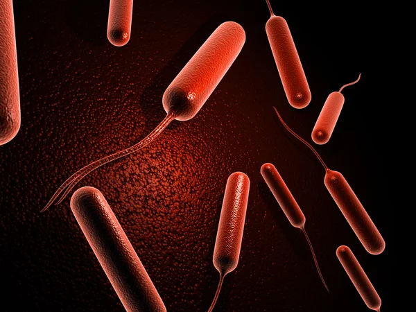 Coli bacteriën — Stockfoto