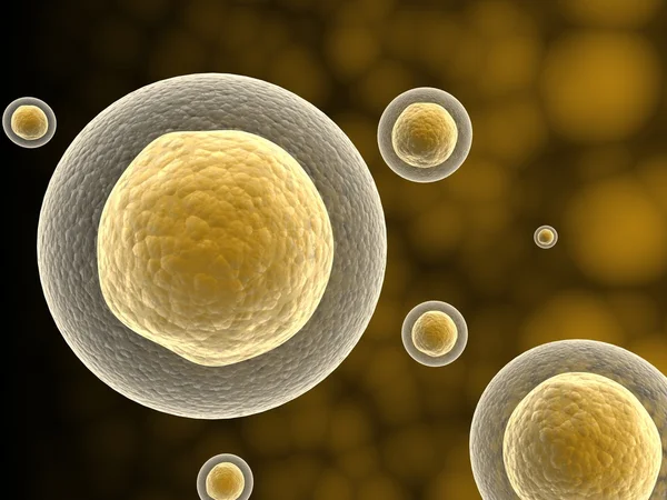 Κύτταρο με πυρήνα — Φωτογραφία Αρχείου