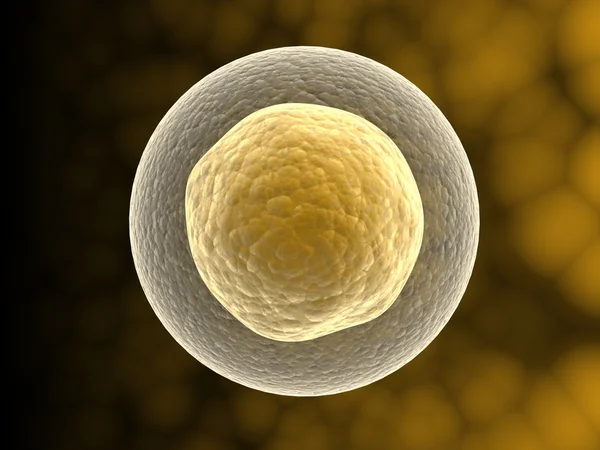 Hücre çekirdeği ile — Stok fotoğraf