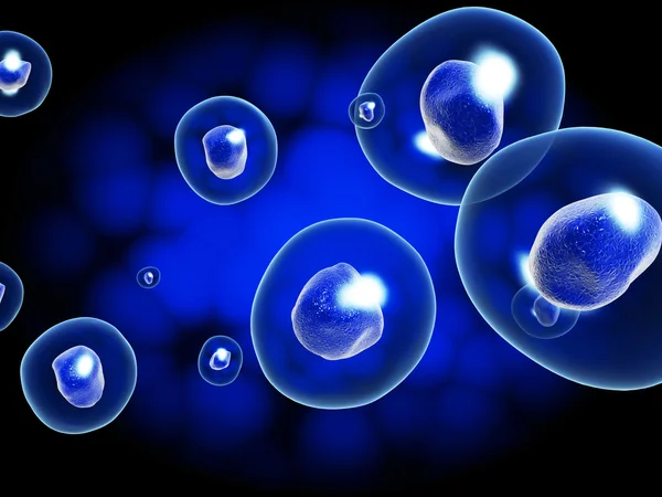 Komórka — Zdjęcie stockowe